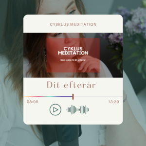 Cyklus: Efterårs meditation