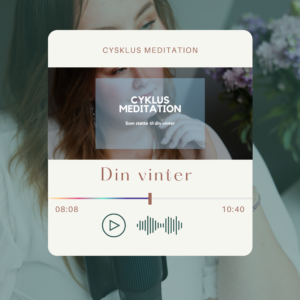 Cyklus: Vinter meditation